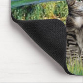 Tapis De Souris Pont - Chat tigré tabby 31 (Coin)
