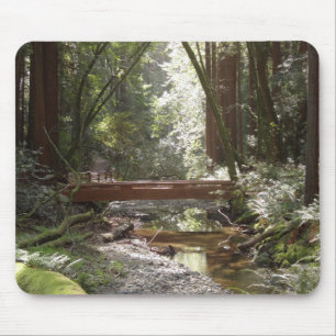Tapis De Souris Pont de Muir Woods II