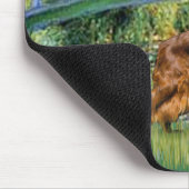 Tapis De Souris Pont - Irish Setter 3 (Coin)