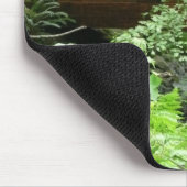 Tapis De Souris Pont Muir Woods I (Coin)