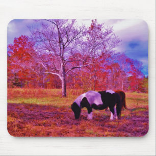 Tapis De Souris PONY dans un champ de couleur PLANCHE