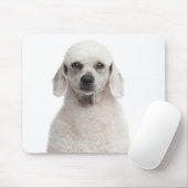 Tapis De Souris Poodle (1 an) (Avec souris)