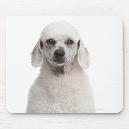 Tapis De Souris Poodle (1 an) (Devant)