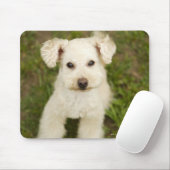 Tapis De Souris Poodle (blanc) (Avec souris)