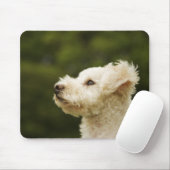 Tapis De Souris Poodle (blanc) 2 (Avec souris)