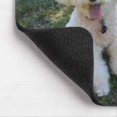 Tapis De Souris Poodles (Coin)