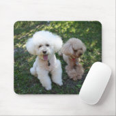 Tapis De Souris Poodles (Avec souris)