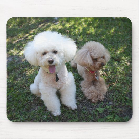 Tapis De Souris Poodles (Devant)