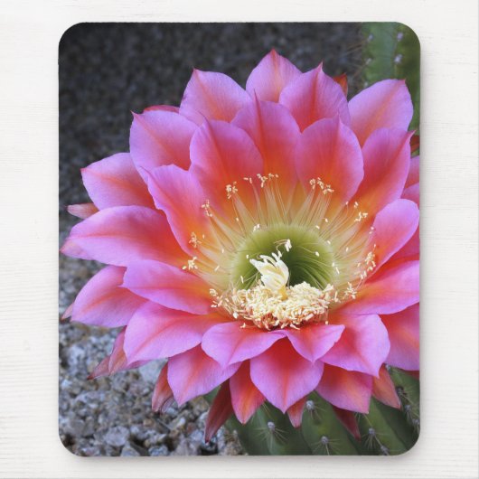 Tapis De Souris Pop rose (Devant)