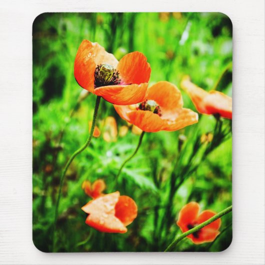 Tapis De Souris Poppies en Nouvelle-Zélande Mousepad (Devant)