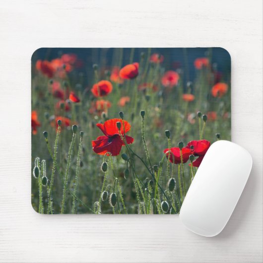 Tapis De Souris Poppies in a Field (Avec souris)
