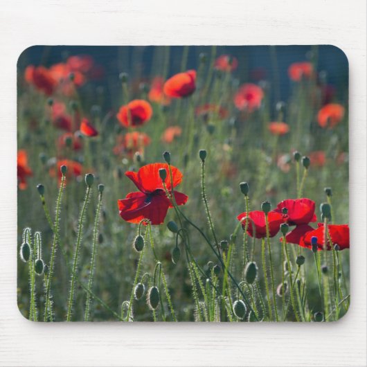 Tapis De Souris Poppies in a Field (Devant)