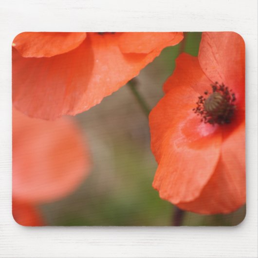 Tapis de souris Poppy (Devant)