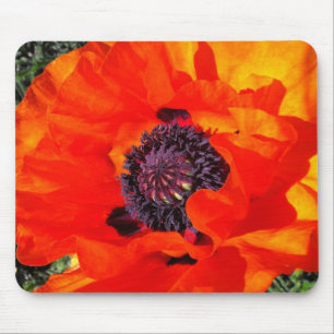 Tapis De Souris Poppy californien