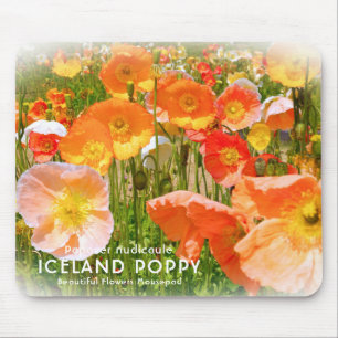 Tapis De Souris Poppy d'Islande