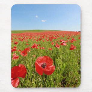 Tapis De Souris Poppy field - Stunning!