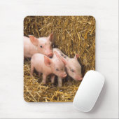 Tapis De Souris Porcelets (Avec souris)