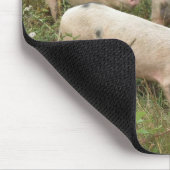Tapis De Souris Porcs dans un champ de mousepad (Coin)