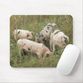 Tapis De Souris Porcs dans un champ de mousepad (Avec souris)