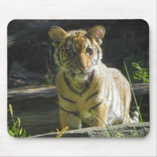 Tapis De Souris Portrait 4 de CUB de tigre