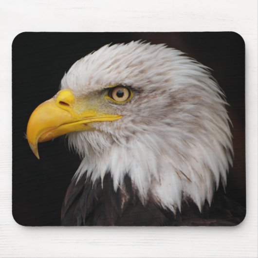 Tapis De Souris Portrait d'aigle (Devant)