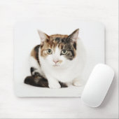 Tapis De Souris Portrait de Calico cat (Avec souris)