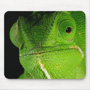 Tapis De Souris Portrait de caméléon à cou plat