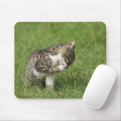Tapis De Souris Portrait de chat (Avec souris)