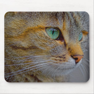 Tapis De Souris Portrait de chat de tigre