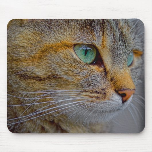 Tapis De Souris Portrait de chat de tigre (Devant)