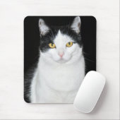 Tapis De Souris Portrait de chat noir et blanc (Avec souris)