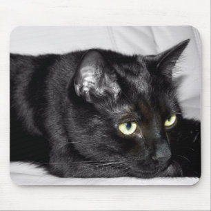 Tapis De Souris Portrait de chat noir mignon