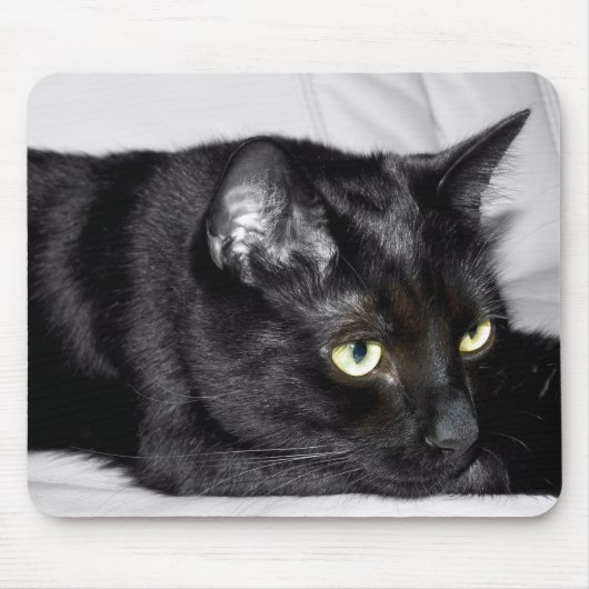 Tapis De Souris Portrait de chat noir mignon (Devant)