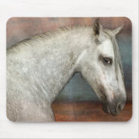 Portrait de Cheval Andalou Gris Dappé