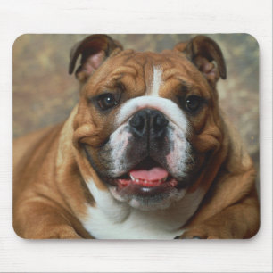 Tapis de souris portrait de chiot Bouledogue angla