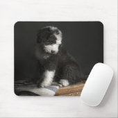 Tapis De Souris Portrait de chiot de queue écourtée dans le studio (Avec souris)