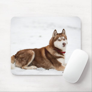 Tapis De Souris Portrait de Cute Sibérien Husky