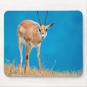 Tapis De Souris Portrait de femelle gazelle de Grant (Gazella Gran