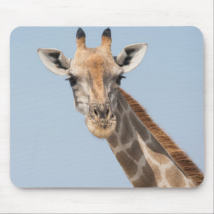 Tapis De Souris Portrait de girafe angolais