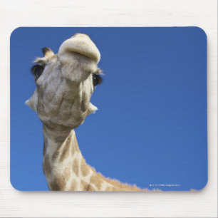 Tapis De Souris Portrait de girafe (Giraffa Camelopardalis)