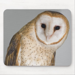 Tapis De Souris Portrait de hibou de grange (Tyto alba).