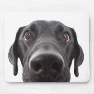 Tapis De Souris Portrait de la collection Black Labrador