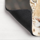 Tapis De Souris Portrait de Léopard (Coin)