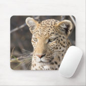 Tapis De Souris Portrait de Léopard (Avec souris)