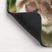 Tapis De Souris Portrait de loutre ....... (Coin)