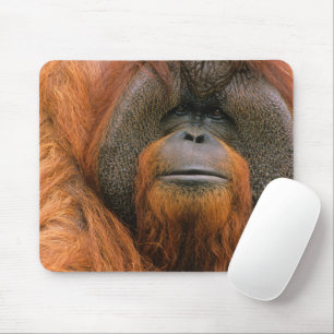 Tapis De Souris Portrait de mâle orang-outan, Géorgie, États-Unis