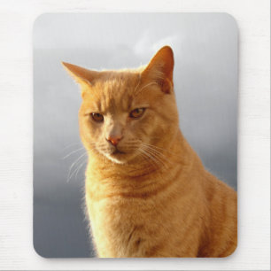 Tapis De Souris Portrait de Merlin le chat