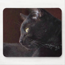Portrait de mon garçon, Charlie Mousepad