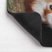 Tapis de souris portrait de Panda (Coin)