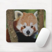 Tapis de souris portrait de Panda (Avec souris)